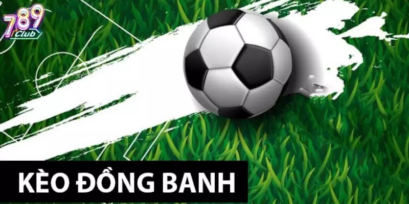 keo-dong-banh-avt