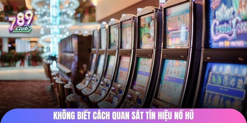 Không biết cách quan sát tín hiệu nổ hũ