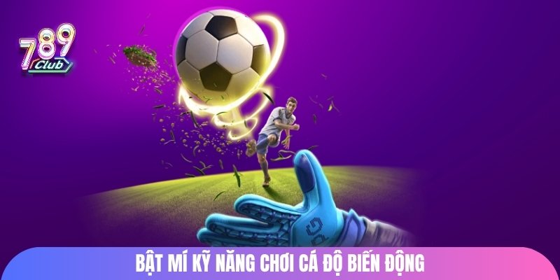 Bật mí kỹ năng chơi cá độ biến động