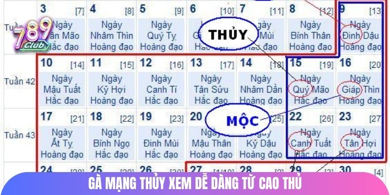 Gà mạng Thủy xem dễ dàng từ cao thủ
