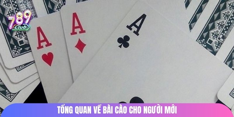 Tổng quan về bài cào cho người mới
