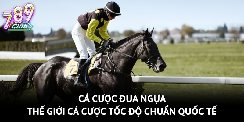 Cá Cược Đua Ngựa - Thế Giới Cá Cược Tốc Độ Chuẩn Quốc Tế